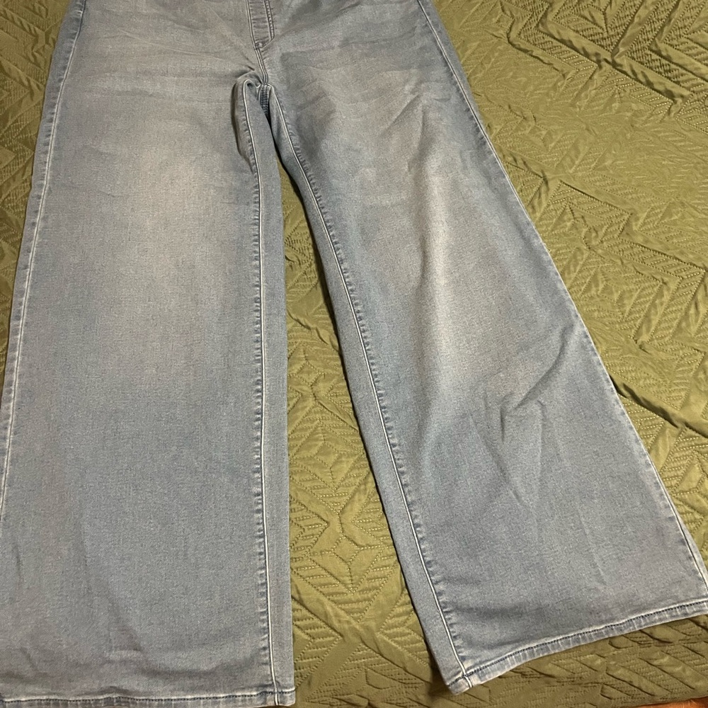 J.Jill Light Blue Flare Jeans